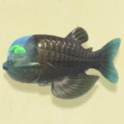 デメニギスの値段と捕まえるコツ