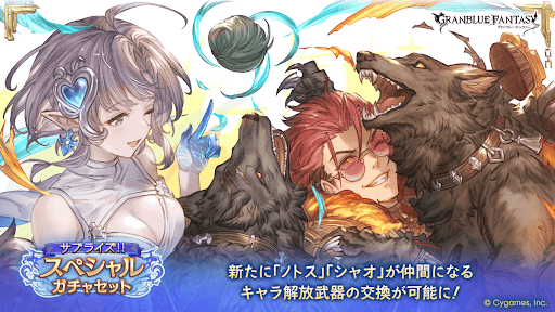 サプチケ