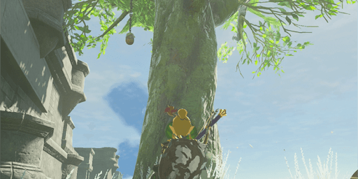 どんぐりを壊す