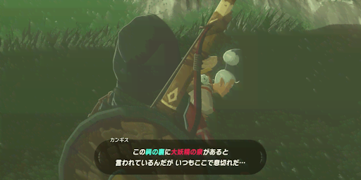 BotW_カンギスに話しかける