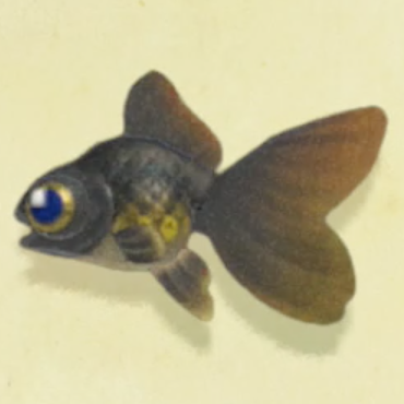 デメキンの値段と捕まえるコツ