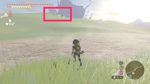 野生馬は馬宿の東にいる