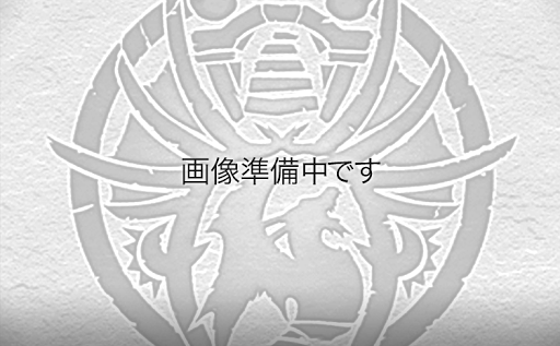 覚醒ブラック・ディオスシール