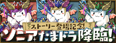 ソニアたまドラ降臨