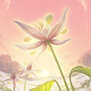 チョコレートの花園