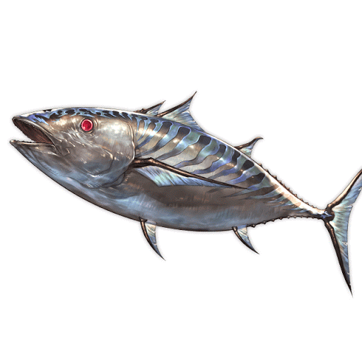 カツウォヌス_全身