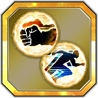 EXスキル玉 連続攻撃＋Lv.5,回避＋Lv.5