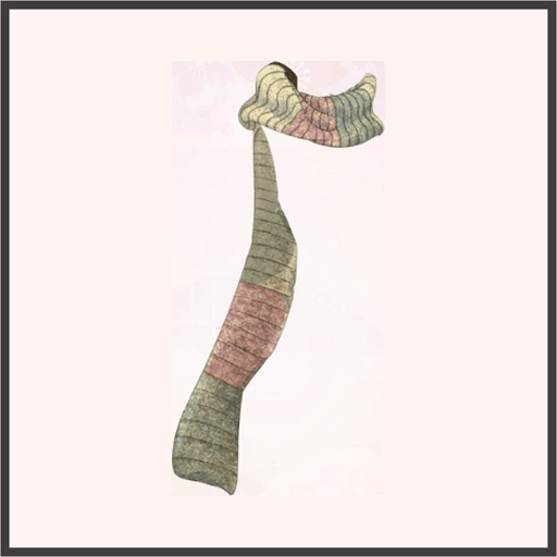 マルチカラーマフラー