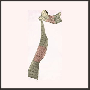 マルチカラーマフラー