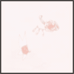 舞蝶の散華（桃）