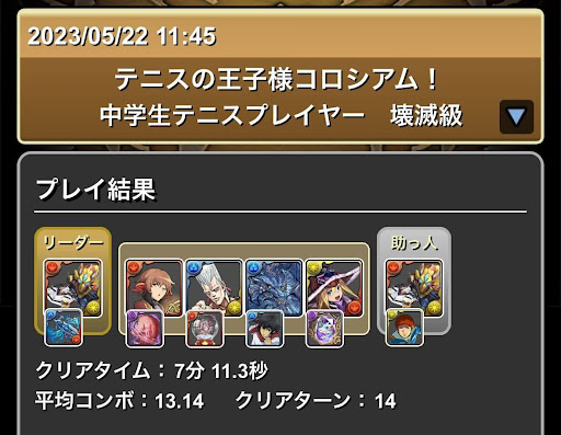 テニスの王子様コロシアム-ウルフデイトナパーティ