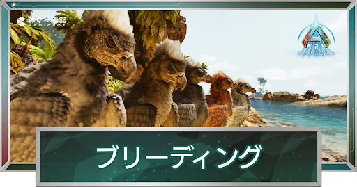 ブリーディングのメリット