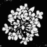 クリーピングタイム