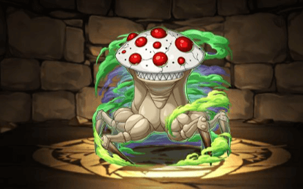 ファネロプラス