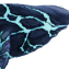 クジラ