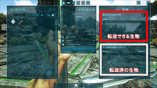 生物_転送