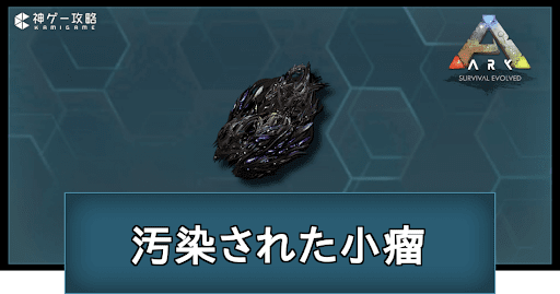 汚染された小瘤