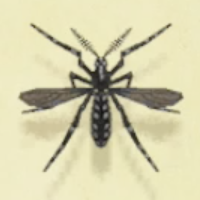 カの値段と捕まえるコツ