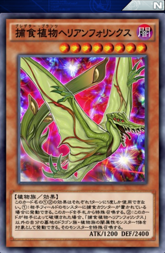 捕食植物へリアンフォリンクス