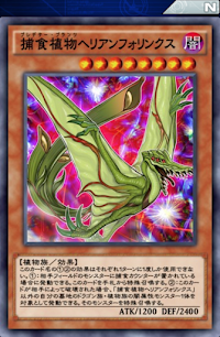 捕食植物へリアンフォリンクス