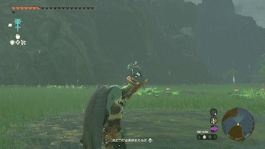 白髪ライネル_初手ケムリダケ