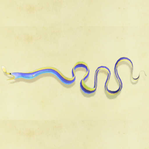 ハナヒゲウツボの値段と捕まえるコツ