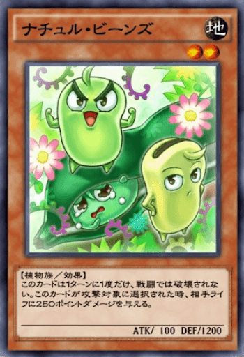 ナチュル・ビーンズ