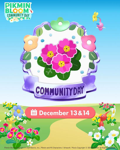 12月13日&amp;14日に開催決定