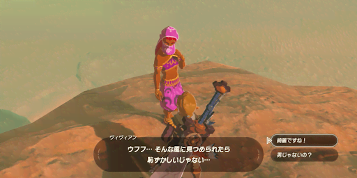 BotW_ヴィヴィアンに話しかける