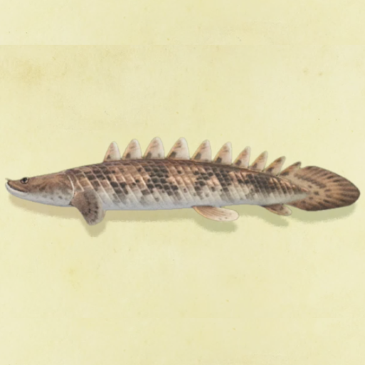 エンドリケリーの値段と捕まえるコツ