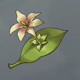 ルブルムリリー