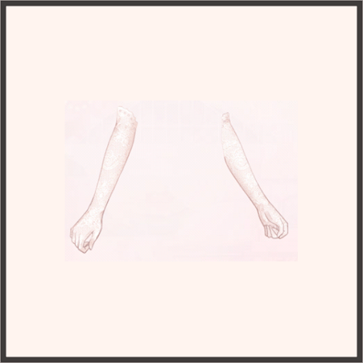 シュレディンガーの星