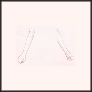 シュレディンガーの星