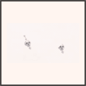 白骨の耳飾り-夜