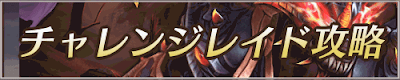 チャレンジレイド
