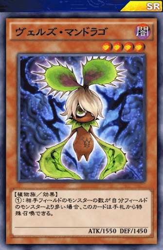 ヴェルズ・マンドラゴ