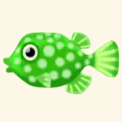 みどりのボックスフィッシュ