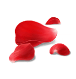 fgo-真紅の花びら