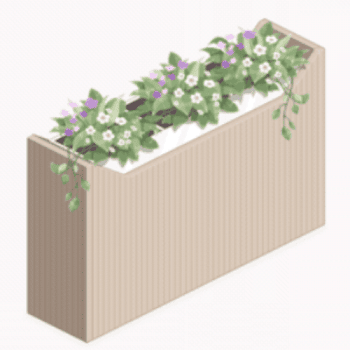 プランターポトス