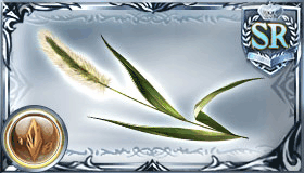 ネコ・ジャラシ