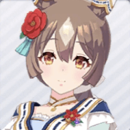 正月サトノダイヤモンド