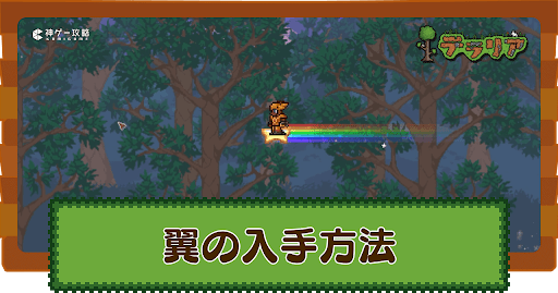 翼の入手方法と装備するメリット