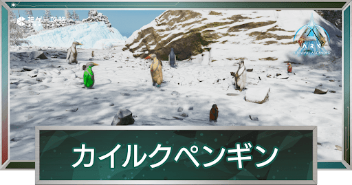 カイルクペンギン