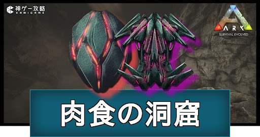 「肉食の洞窟」の場所と攻略ルート