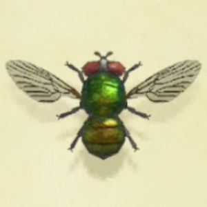 ハエの値段と捕まえるコツ