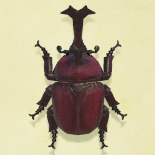 カブトムシの値段と捕まえるコツ