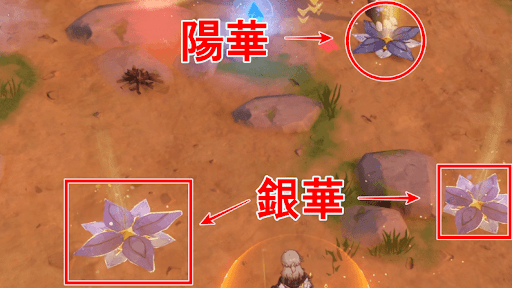 原神_アルベド_魔導秘儀