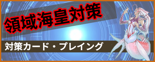 領域海皇対策アイキャッチ