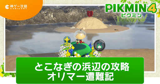 とこなぎの浜辺