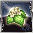 トニックフラワー